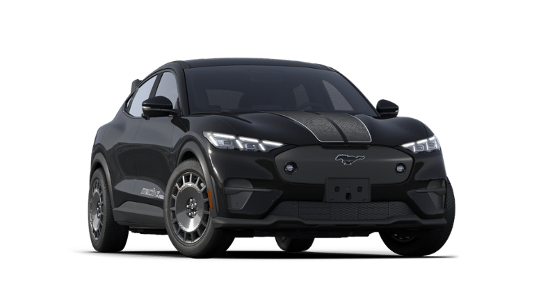 Mustang Mach-E® vehicle